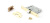 Защелка с фиксацией Apecs 5600-WC-G Защелка с фиксацией Apecs 5600-WC-G